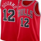 Men & Youth #12 Ayo Dosunmu Chicago Bulls 2022-23 Icon Edition Red Jersey