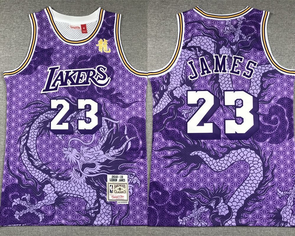 Men Lakers LeBron James Mitchell & Ness Dragon's Basketball Jersey Purple