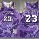 Men Lakers LeBron James Mitchell & Ness Dragon's Basketball Jersey Purple