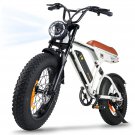 RUN adult electric bicycle 750W electric bicycle 36V 10.4Ah dual battery, 20-inch