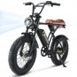RUN adult electric bicycle 750W electric bicycle 36V 10.4Ah dual battery, 20-inch