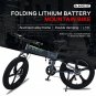 E-Bicycle 1000W High Power Motor 48V10.4AH Battery 26*4.0 Inch Tire Mountain E-Bike City