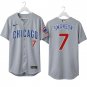 Dansby Swanson #7 Men's & Youth Chicago Cubs Gray Stitched Jersey