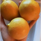 10 Lemon 10 Lemon