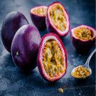 PURPLE PASSION FRUIT FLOWER SEEDS Granadilla Passiflora edulis Garden Vine Plant PURPLE PASSION FRUIT FLOWER SEEDS Granadilla Passiflora edulis Garden Vine Plant