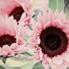 Pink Sunflower 20 Seeds Turnsole Helianthus Seed Garden Flowers