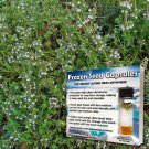 Thyme Seeds Thymus Vulgaris 50 Rare Herb Seeds Fresh Seeds