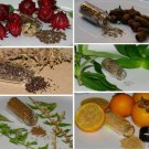 Herb Garden Seed Collection #11 A 6 Pack Of Rare Herb Seeds Fresh Seeds