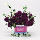 Cool Wave Purple Pansy Trailing Pansy Flower 15 Seeds Fresh Seeds