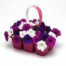 Easy Wave Spreading Petunia Great Lakes Flower Mix 30 Seeds Fresh Seeds