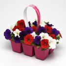 Easy Wave Spreading Petunia The Flag Flower Mix 30 Seeds Fresh Seeds