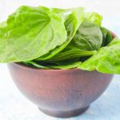 Plantain Common Plantain Herb 5000 Seeds Fresh Seeds