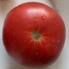 New Fresh 50 Seeds Velvet Night Tomato Vegetable Garden 68 Day Harvest