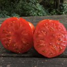 New Fresh 50 Seeds Sweet Scarlet Tomato Vegetable Garden