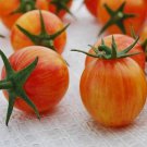 New Fresh 50 Seeds Sunrise Bumblebee Tomato Juicy Vegetable Garden