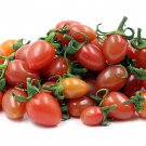 New Fresh 50 Seeds Sugary Cherry Tomato Vegetable Garden