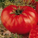 New Fresh 50 Seeds Steakhouse Tomatos Tomato Juicy Vegetable Garden
