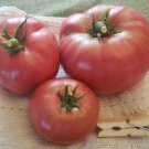 New Fresh 50 Seeds Soldacki Tomato Juicy Vegetable Garden