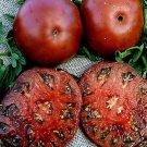 New Fresh 50 Seeds Sara Black Tomato Vegetable Garden