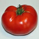 New Fresh 50 Seeds Rutgers Tomato Juicy Vegetable Garden