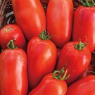 New Fresh 50 Seeds Roma Tomato Red Juicy Vegetable Garden
