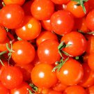 New Fresh 50 Seeds Red Cherry Tomato Juicy Vegetable Garden