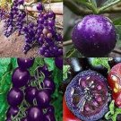 New Fresh 50 Seeds Purple Cherry Tomato Juicy Vegetable Garden