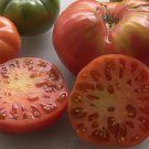 New Fresh 50 Seeds Pink Ponderosa Tomato Vegetable Garden
