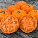 New Fresh 50 Seeds Persimmon Tomato Vegetable Garden