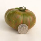 New Fresh 50 Seeds Peppermint Stripes Tomato Dwarf Juicy Vegetable Garden