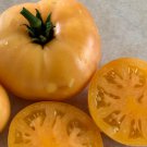 New Fresh 50 Seeds Orange Cream Tomato Vegetable Garden