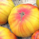 New Fresh 50 Seeds Old German Tomato Juicy Vegetable Garden