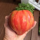 New Fresh 50 Seeds Long Tall Sally Tomato Vegetable Garden