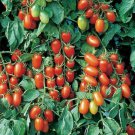 New Fresh 50 Seeds Juliet Tomato Juicy Vegetable Garden