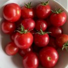 New Fresh 50 Seeds Johnsons Cherry Tomato Dwarf Juicy Vegetable Garden