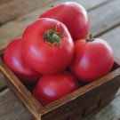 New Fresh 50 Seeds Japanese Momotaro Tomato Vegetable Garden