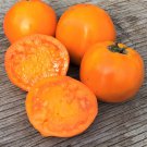 New Fresh 50 Seeds Golden Delight Tomato Juicy Vegetable Garden