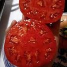 New Fresh 50 Seeds Garden Leader Monster Tomato Juicy Vegetable Garden