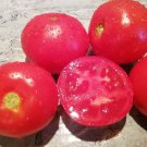 New Fresh 50 Seeds Fraziers Gem Tomato Juicy Vegetable Garden