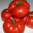 New Fresh 50 Seeds First Prize Tomato Juicy Vegetable Garden