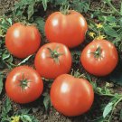 New Fresh 50 Seeds Early Goliath Tomato Juicy Vegetable Garden
