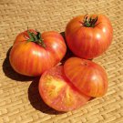 New Fresh 50 Seeds Dwarf Beauty King Tomato Juicy Vegetable Garden