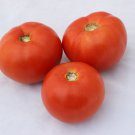 New Fresh 50 Seeds Dixie Red Tomato Juicy Vegetable Garden