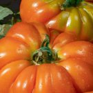 New Fresh 50 Seeds Delizia Tomato Juicy Vegetable Garden