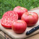 New Fresh 50 Seeds Damsel Tomato Juicy Vegetable Garden