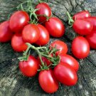 New Fresh 50 Seeds Crovarese Italian Grape Tomato Juicy Vegetable Garden