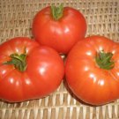 New Fresh 50 Seeds Coustralee Tomato Juicy Vegetable Garden