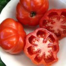 New Fresh 50 Seeds Costoluto Fiorentino Tomato Juicy Vegetable Garden