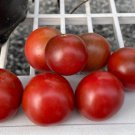 New Fresh 50 Seeds Controversy Tomato Juicy Vegetable Garden