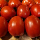 New Fresh 50 Seeds Cipollas Pride Tomato Juicy Vegetable Garden